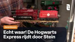 Óngerwaeg neemt in Stein de Hogwarts Express