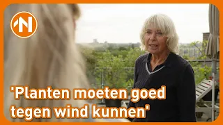 Voor Marijkes toentje moet je geen hoogtevrees hebben | Mien Toentje