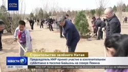 Си Цзиньпин принял участие в озеленительном субботнике в поселке Байшань на севере Пекина