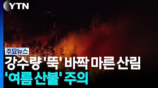 Precipitation Plummets, Forests Parched... Beware of 'Summer Wildfires' / YTN