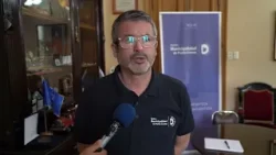 Punta Arenas: Municipio y concejales desmienten al Gobierno por proyecto de cementerio de mascotas