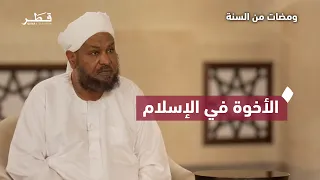 المحبة في الله وحقوق المسلم وأثر الأخوة في بناء مجتمع متماسك | ومضات من السنة