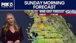Tampa Weather | Sunday morning forecast