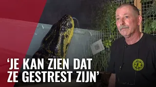 Stroomuitval en schade bij reptielenopvang door lekkage