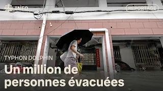 Typhoon Dolphin loses intensity in Asia