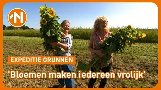 Waarom plukken mensen zonnebloemen op het land van Hendrik? | Expeditie Grunnen 2 augustus