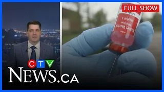 Cat with rabies lunges at Quebec woman | CTV News Montreal at 11:30 p.m. for Friday, July 31, 2026