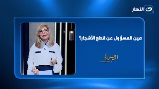 مين المسؤول عن قطع الأشجار؟..لميس الحديدي: احنا دولة فقيرة لكننا نحب بلدنا بشجرها