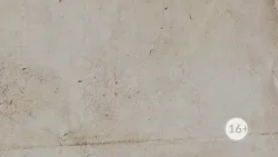 Криминал недели в программе «По горячим следам», выпуск 2 апреля Криминал недели в программе «По горячим следам», выпуск 2 апреля