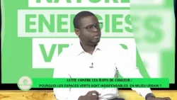 Lutte contre les îlots de chaleur : Pourquoi les espaces verts sont-ils indispensables ? Lutte contre les îlots de chaleur : Pourquoi les espaces verts sont-ils indispensables ?