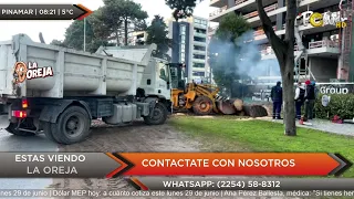 Limpieza en avenida Bunge