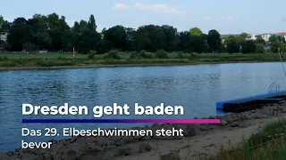 Dresden’s Most Unusual Swimming Event