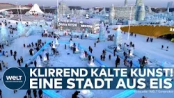 WINTERTRAUM IN HARBIN: Klirrend kalte Kunst verursacht Gänsehaut! Eine Stadt aus Eis in China