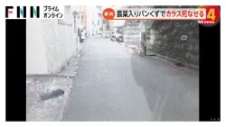 カラスに“農薬”パンくず…7羽死なせたか　鳥獣保護法違反で会社員の男（62）書類送検「4～5回撒いた」