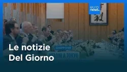 Le notizie del giorno | 17 gennaio 2026 - Pomeridiane