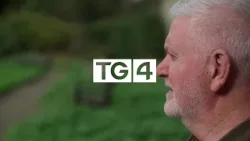 Néaltrú - An Scriosadh Mall  |  Dé Céadaoin 4 Feabhra 21:30