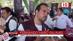 Rebasará Ecología meta de acopio de árboles de Navidad en Cancún Rebasará Ecología meta de acopio de árboles de Navidad en Cancún