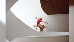 Saint Louis Dance Theatre gears up for Movers and Shakers Ball