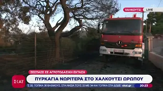 Πυρκαγιά νωρίτερα στο Χαλκούτσι Ωρωπού - 25 πυρκαγιές σε ολόκληρη τη χώρα | Ειδήσεις Βραδινό Δελτίο