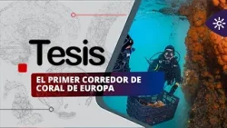 Tesis | La protección del Mediterráneo, la paleografía y la emoción musical