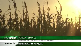 СЛАБА РЕКОЛТА: КОСЕРАЛ сви прогнозата за зърното в Европа