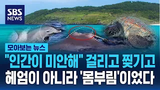 "Humans are sorry" Caught and torn... It wasn't swimming, it was 'struggling' / SBS / News Roundup