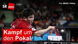 Tischtennis, Pokal: FCS kämpft beim Final-Four-Turnier um den Titel Tischtennis, Pokal: FCS kämpft beim Final-Four-Turnier um den Titel
