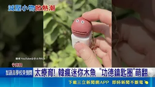 South Korean Temple's Mini Wooden Fish Merit Keychains and K-Pop Idol Prayer Beads Spark Buying F...