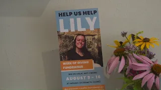 Camden restaurant holds art fundraiser for Lily Robbins' recovery