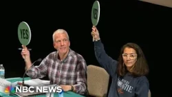 Is Alaska’s 'spoiler candidate' strategy legal?