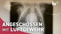 Nachbarschaftsstreit eskaliert!