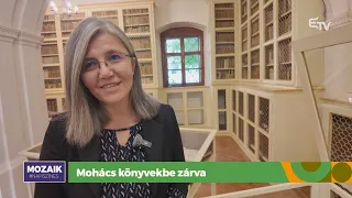 Mohács könyvekbe zárva – Mozaik