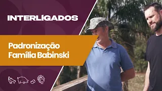 STANDARDIZATION OF RESULTS INTERCONNECTED FRAMEWORKS BABINSKI FAMILY VS 2.0