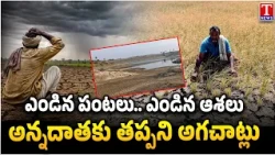 Barabar Adugudam : Dry Fields and Cracked Soil: Telangana Farmers Struggle Amid Drought | T News