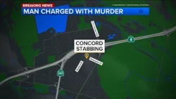 Man charged for allegedly stabbing wife to death in Concord, police say