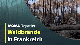 „Ruinen und es ist noch nicht vorbei“, ARD-Korrespondent in Frankreich über die Waldbrände