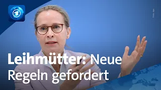 Debatte um Leihmutterschaft: Brosius-Gersdorf fordert Legalisierung