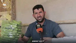 جوتیارانی باڵەكایەتی داوادەکەن کار بۆ ساغکردنەوەى بەرهەمەکانیان بکرێت