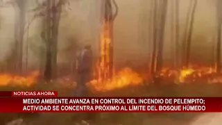 Environment Ministry makes progress in controlling Pelempito fire