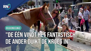 Bargaining at centuries-old horse market || RN7 REGIONAL NEWS