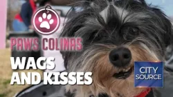 ? Wags & Kisses Pop Up at Paws Colinas ❤️ ? Wags & Kisses Pop Up at Paws Colinas ❤️