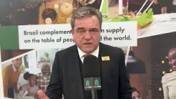 Fim da escala 6x1 vai reduzir a disponibilidade de produtos no setor de aves e suínos, diz ABPA