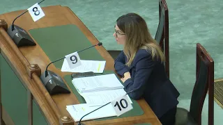 Parlamentul României: Persoanele implicate în acțiuni de mobilizare publică, mai greu de intimidat