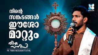 നിന്റെ സങ്കടങ്ങൾ ഈശോ മാറ്റും|THIRUSANNIDHI EP 136 |Fr Tibin Nedumattathil OFM | SHALOM TV |EUCHARIST