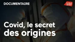 Covid, le secret des origines
