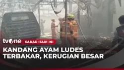 A massive fire in a chicken coop killed 40,000 chickens. | Today's News