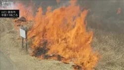 秋吉台の山焼きで作業員1人が死亡 衣服に火が燃え移る 山口(2026年2月14日) 秋吉台の山焼きで作業員1人が死亡 衣服に火が燃え移る 山口(2026年2月14日)