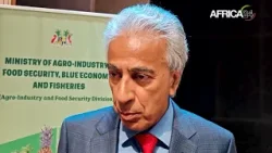 Maurice : 1,5 million USD pour soutenir les planteurs de thé