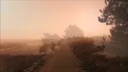 Zonsopkomst Edese heide (Natuurlijk! 02-02-2026)