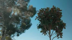 Councilmember Elo-Rivera and Community Partners Host Teralta Park Beautification Event